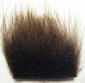 polar bear dark brown standart